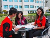 Curtin University Dubai launches new courses in business and engineering