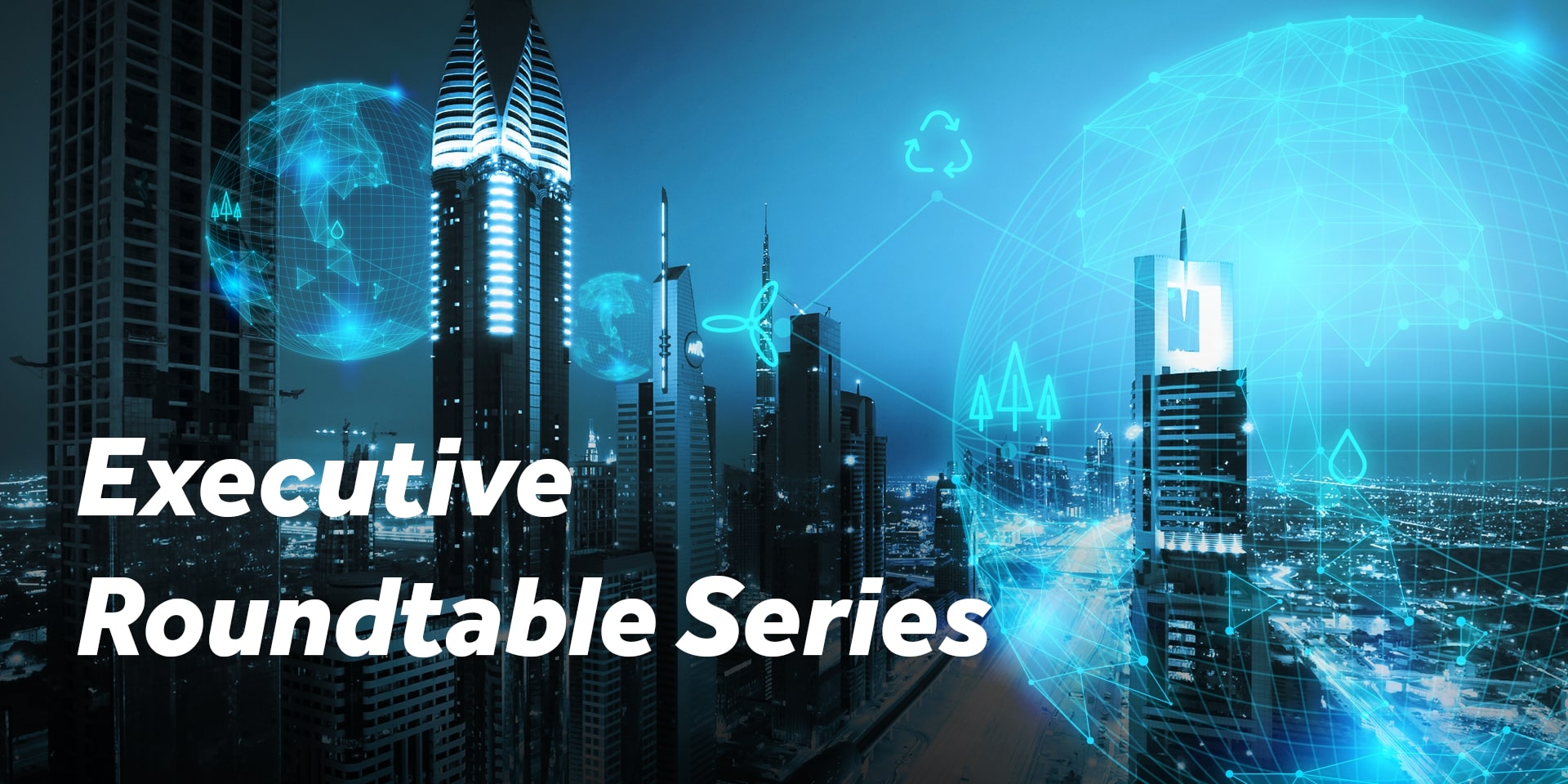 Executive Roundtable Series