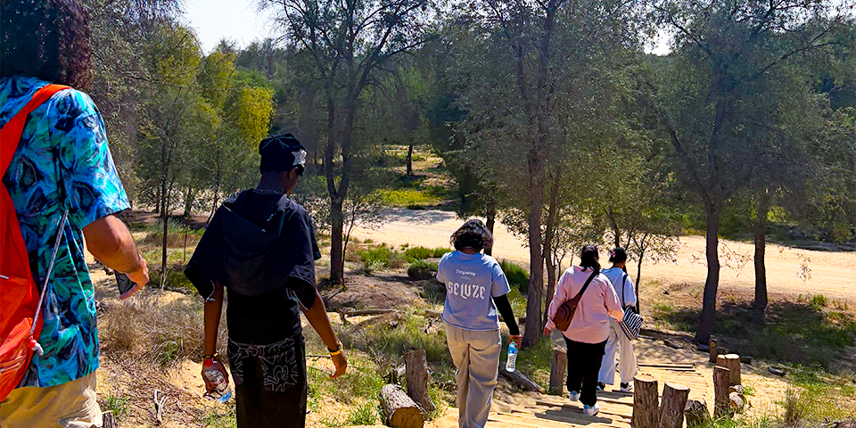Image for Student wellbeing in Dubai: How Curtin students reconnected with nature at Mushrif Park